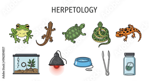 Herpetology reptiles and equipment collection.