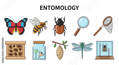 Insects Entomology Bug Collection Icons.