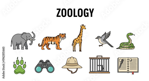 Zoology animal icons and symbols collection.