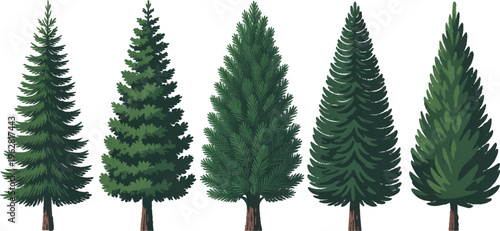 Evergreen Trees: A collection of various lush evergreen trees, showcasing the diversity of coniferous species with their distinct shapes, sizes, and textures. 