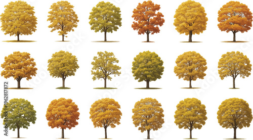 Vibrant Canopy: A collection of various trees in full autumn foliage, each showcasing a unique spectrum of warm colors, from fiery reds to golden yellows.