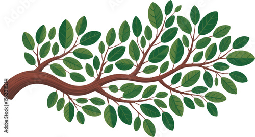  High Definition S-Curve Green Tree Branch with Leaves Isolated on White Background