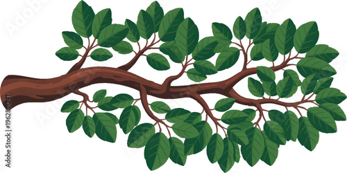  High Definition Green Leafy Tree Branch Isolated  vector design on transparent  Background.