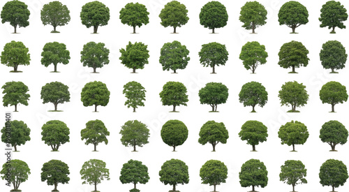  Collection of Green Ornamental Tree Clipart Set Isolated High Definition Green Tree Collection Isolated   set  vector design on transparent  Background.