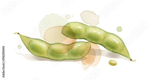 Delicate Watercolor Illustration of Edamame with Soft Pale Colors