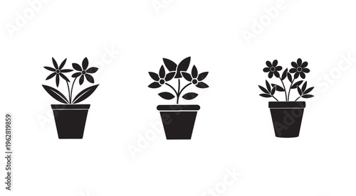 Black and white illustration of three potted plants with flowers and leaves  simple botanical silhouettes for design