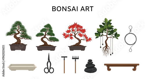 Bonsai trees and gardening tools arrangement.