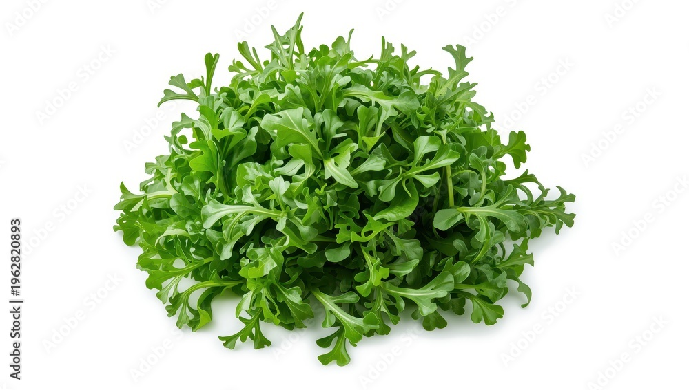 Obraz premium Arugula on a white background. A cluster of arugula. Premium image