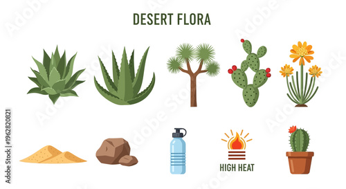 Desert flora and heat icons illustration.