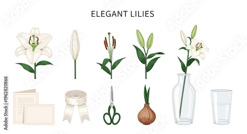 Elegant lilies flowers and gardening tools.