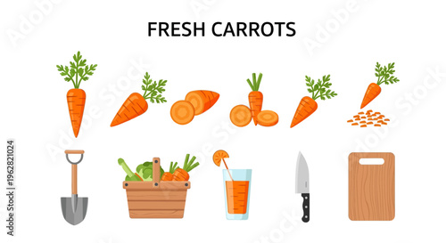 Fresh carrots and kitchen utensils illustration.