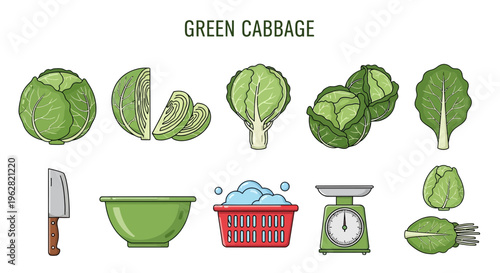 Green Cabbage Vegetables and Kitchen Utensils.
