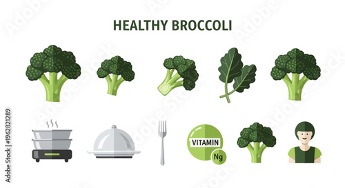Healthy broccoli food nutrition illustration.