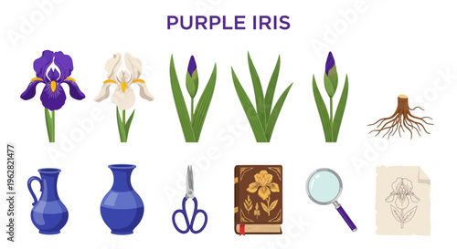 Purple Iris Flowers and Gardening Tools.
