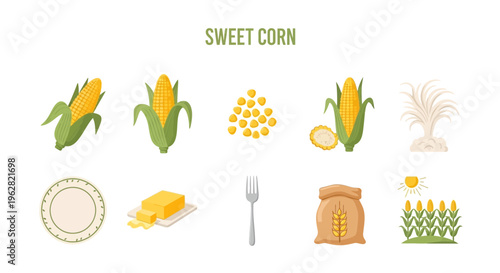Sweet corn food illustration collection.