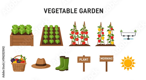 Vegetable garden icons and tools illustration.