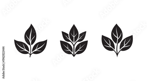 Black leaf icons in different shapes and sizes  various leafy elements for design  isolated on white background