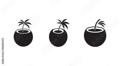 Black silhouette of palm trees in round planters with white outlines on white background  simple tropical icons