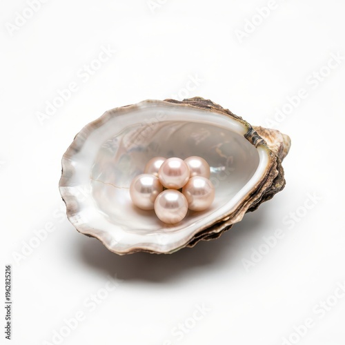 Freshwater Pearls in Open Oyster Shell on White Background