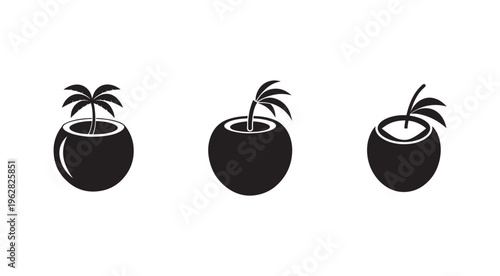 Blackandwhite palm tree in coconut shell icons  tropical symbol set  isolated on white background