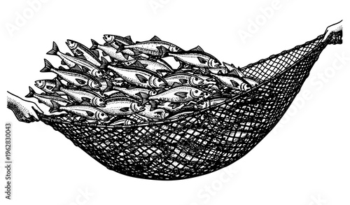 Vintage fishing net capturing school of fish black and white engraving vector maritime illustration