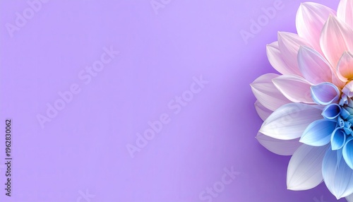Half of a vibrant flower with gradient petals on a lilac background