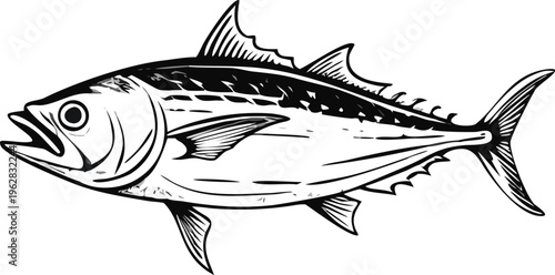 Detailed black and white illustration of a single tuna fish