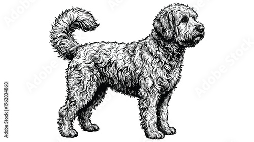black and white illustration of a dog standing on white background