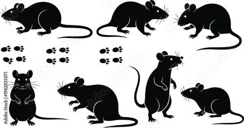 Black rat silhouettes set, rodent pest control icons, mouse vector collection with paw prints, small animal silhouettes for biology and nature.