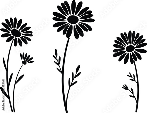 Black silhouette daisy flowers with long stems and leaves, artistic floral botanical design, decorative nature vector illustration artwork