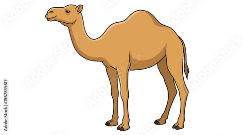 cartoon camel standing alone looking ahead