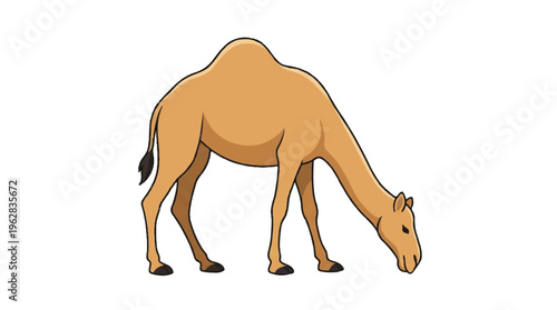 cartoon camel standing with head down