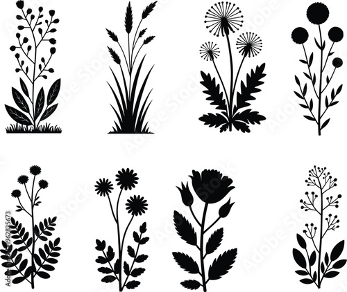 Black silhouette plants and flowers in diverse botanical forms, leaves, stems, blossoms, decorative nature vector illustration artwork collection