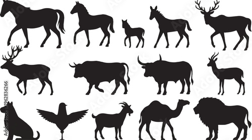 collection of animal silhouettes on white background
