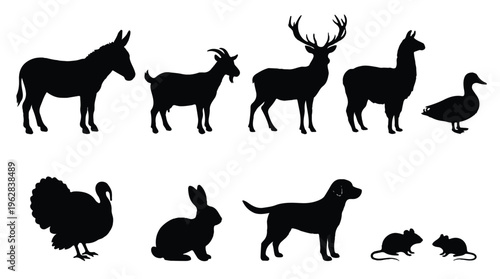 Silhouettes of various animals on white background