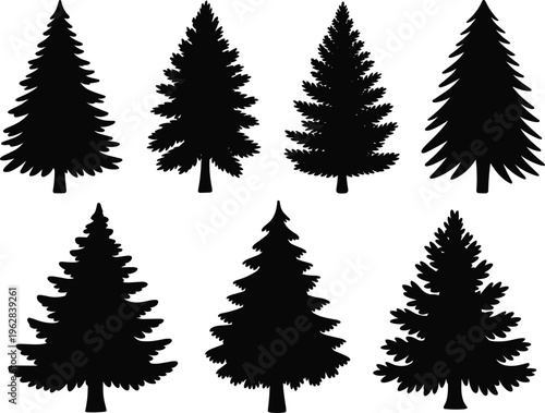 Evergreen Pine Tree Silhouettes Collection, Fir And Spruce Forest Conifer Isolated Black And White Nature Illustration Set