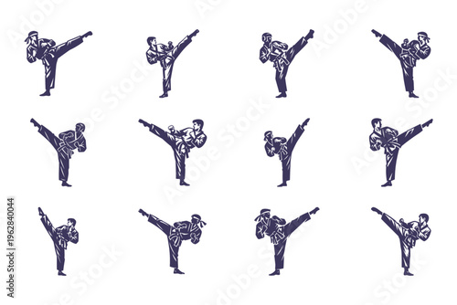 Martial arts kicks illustrations, karate poses, taekwondo movements