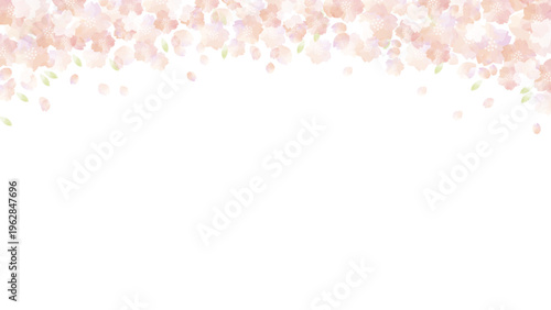 透明感のある水彩風　桜のフレームイメージ