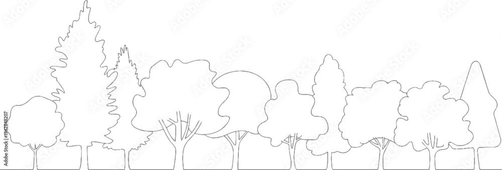 Fototapeta premium A line of various deciduous and coniferous trees in a row against a white background forest nature outline