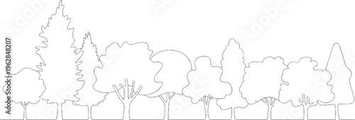 A line of various deciduous and coniferous trees in a row against a white background forest nature outline