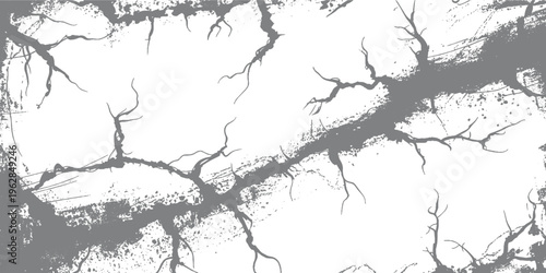 Abstract grey cracked texture with organic branching patterns and speckled details on white background