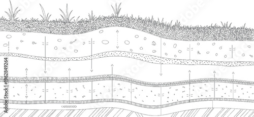 Cross section diagram of soil layers showing grass roots and water movement