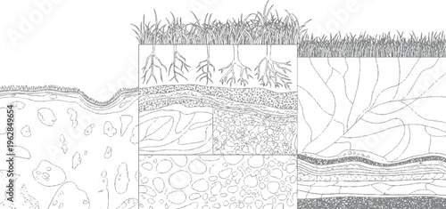 Cross section of soil layers with grass roots and geological strata