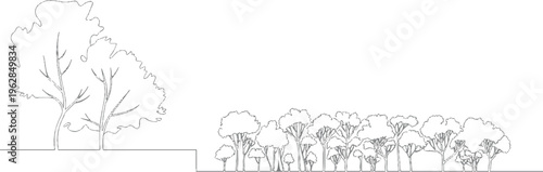 Stylized line of a dense forest and a solitary tree on a white background nature outline