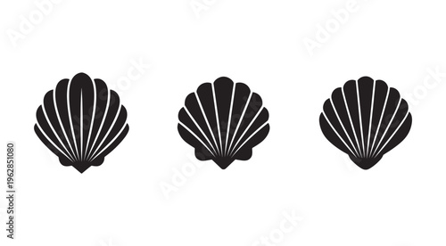 Three black scallop seashells on white background  ocean  sea  beach  marine  shell  scallop  seafood  ocean creature  marine life  sea creature  shellfish  seafood icon  ocean icon  sea icon