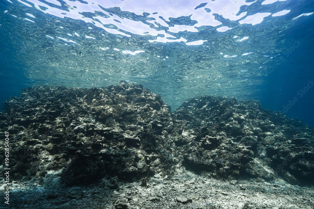 Fototapeta premium Rocky Coral Terrain Beneath Rippled Water Surface