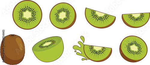 Kiwi fruit vector illustration set with whole sliced segments fresh tropical food collection isolated colorful design