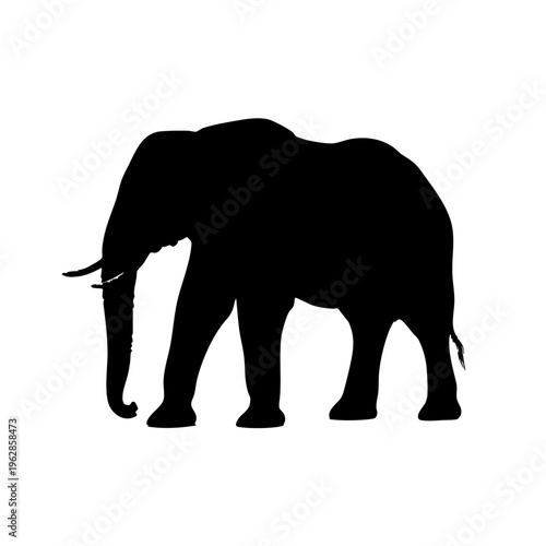 Photography elephant silhouette vector, elephant silhouette isolated on white