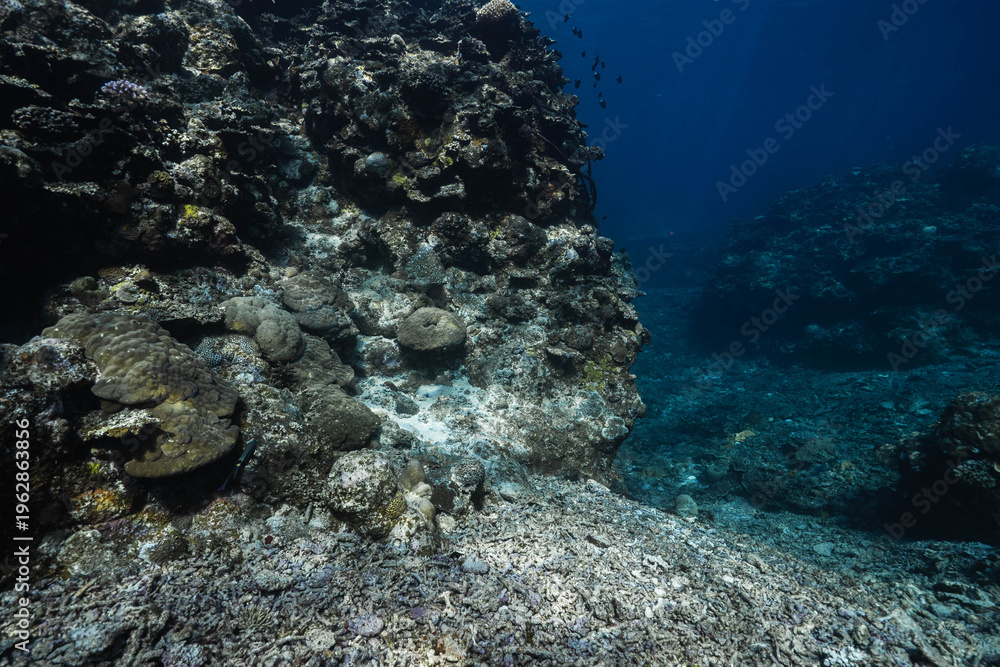 Obraz premium Clear Water Reflections Above Coastal Reef Structure