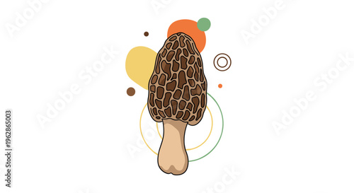Detailed illustration of a morel mushroom with its characteristic honeycomb cap shown against a decorative circular background.